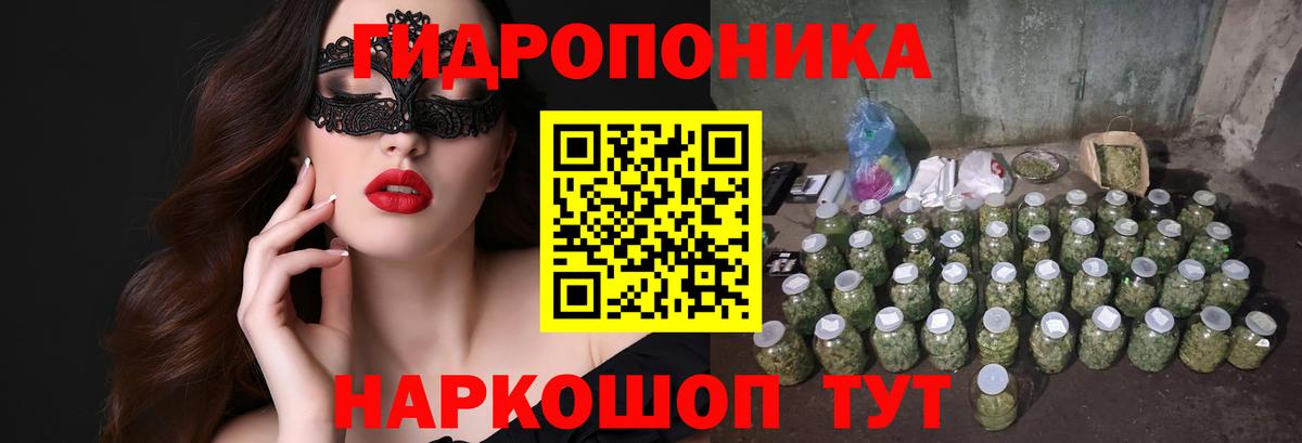 Канабис индика Долгопрудный